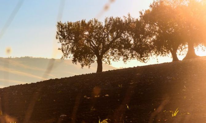 lucania, basilicata, paesaggio campestre