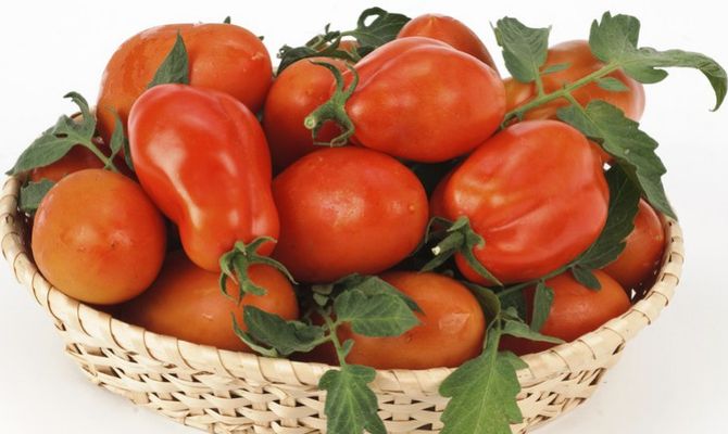 pomodori san marzano