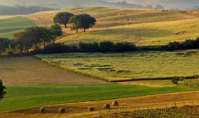 Campagna toscana