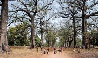 Lentamente l'Africa