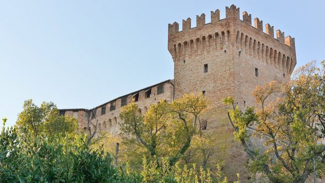 Casciotta Urbino