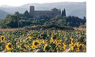 Viaggio in Maremma