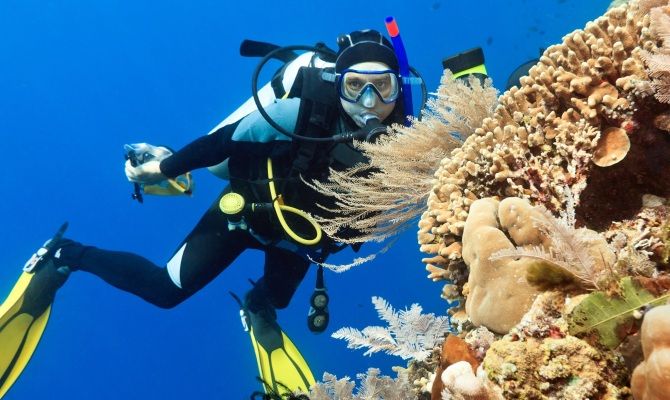 Diving Maldive