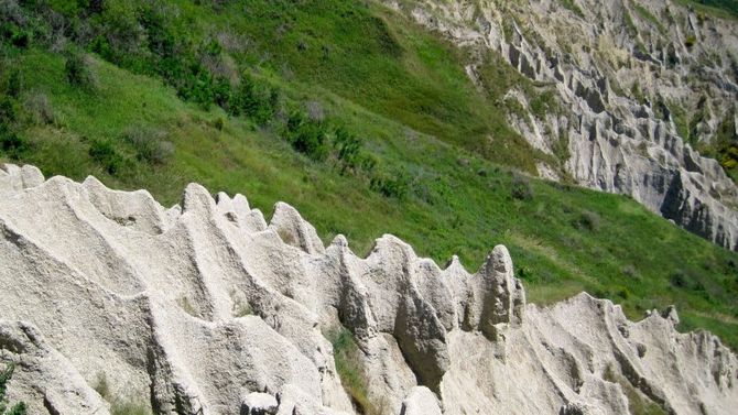 Petruziano delle colline teramane foto