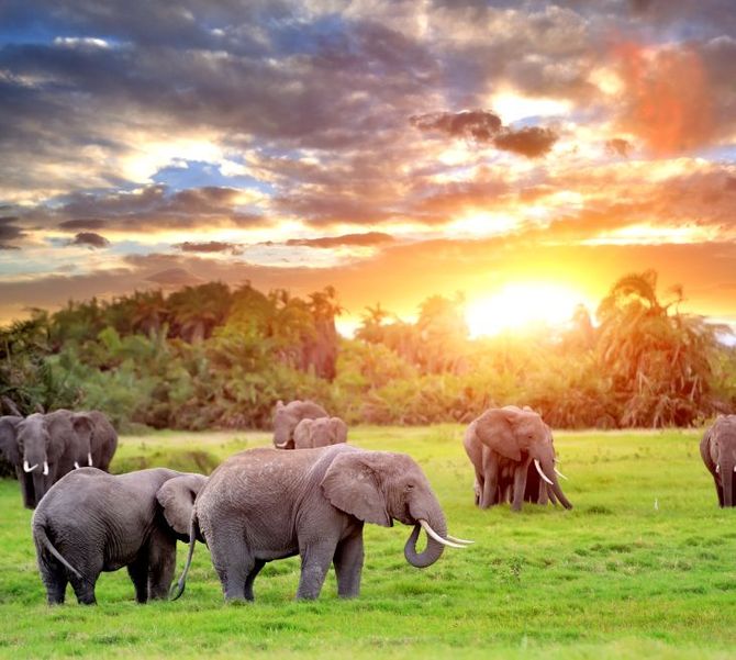 7 Sudafrica