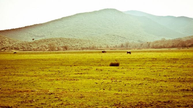 monti dell&amp;#39;uccellina