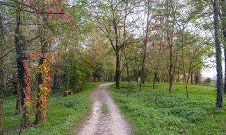 Parco Lambro
