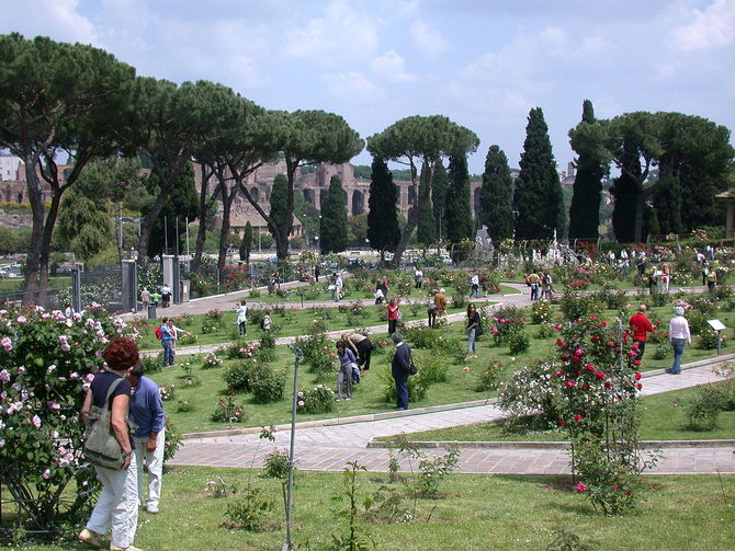 Roseto comunale di Roma