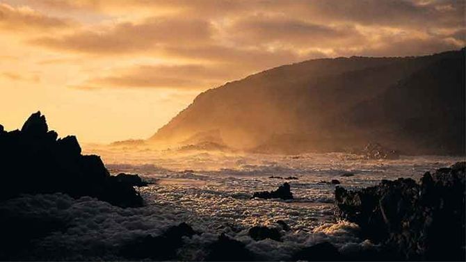 Wilde Coast