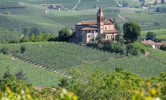 Caccia al tesoro nelle Langhe del Barolo