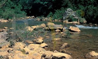 Toscana: rarità faunistiche nella Riserva dell'Alto Merse  