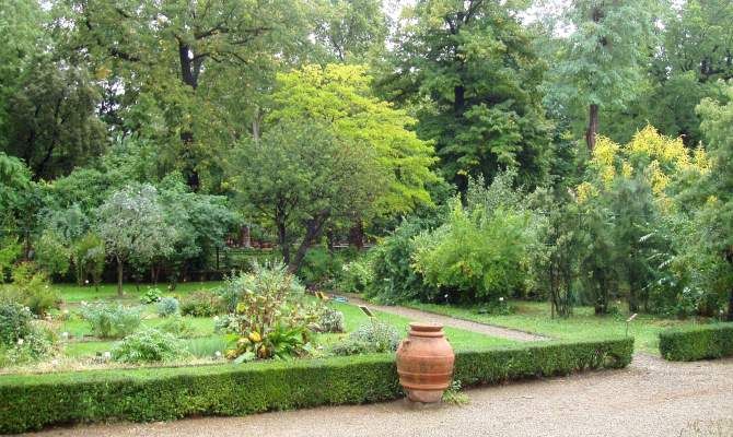 giardino dei semplici firenze natura alberi piante