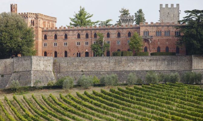 Castello con vitigni