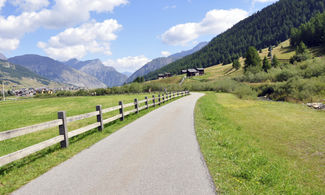 ciclabile, valtellina, boschi