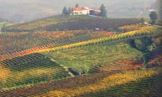 Strada del Barolo