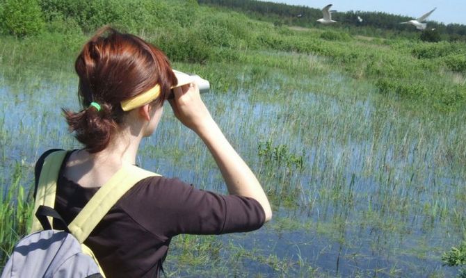 Birdwatching