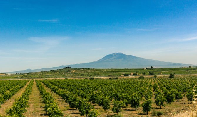 campo coltivato con vista Etna