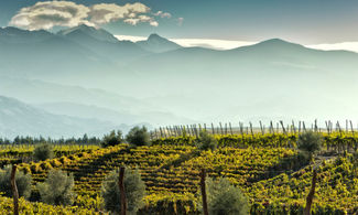 Argentina, ecco perchè andare alla scoperta dei vigneti