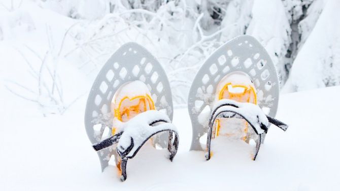 Ciaspole neve