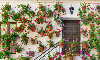 Andalusia: 48 ore a Cordova con la Fiesta de los Patios 