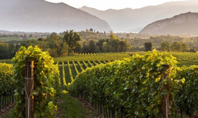 Veduta del Franciacorta
