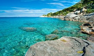 Isola d'Elba, il gusto e la tradizione della palamita