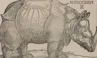 Albrecht Dürer 