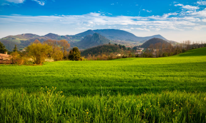 Colline venete