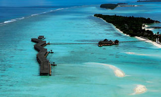 Diva Maldive