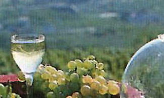 Vini e meditazione