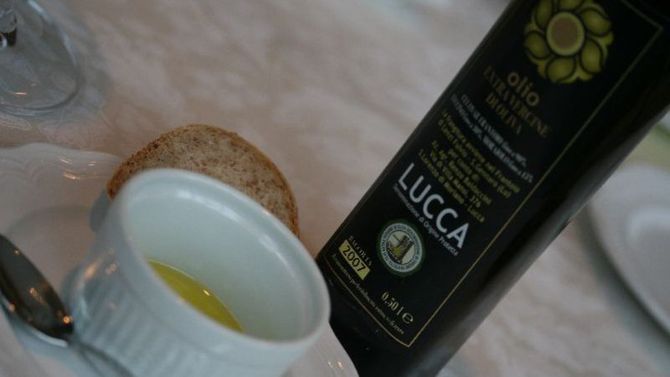 olio dop lucca