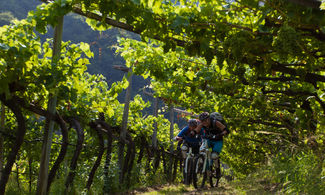 Mountain bike in Franciacorta
