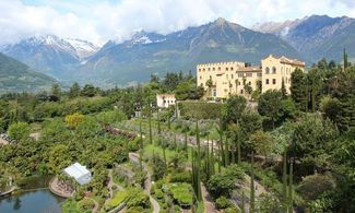 Giardini di Sissi: imperdibili rarità botaniche  