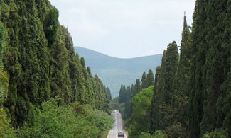 Bolgheri, la Toscana romantica che ispirò Carducci