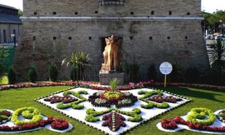 E' Cervia la città dei fiori 2015