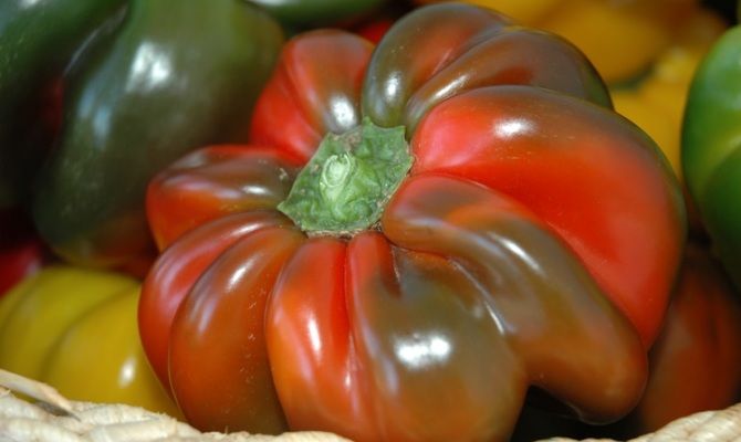 peperoni rossi verdi papaccelle verdura napoli