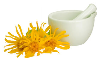 L’arnica montana