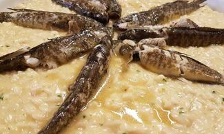 Risotto di Gò, ricetta, Venezia