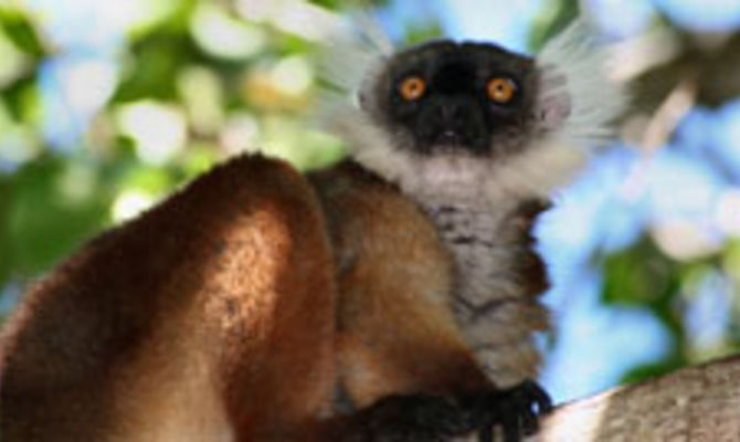 Madagascar