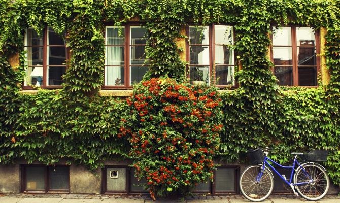 Danimarca in bicicletta