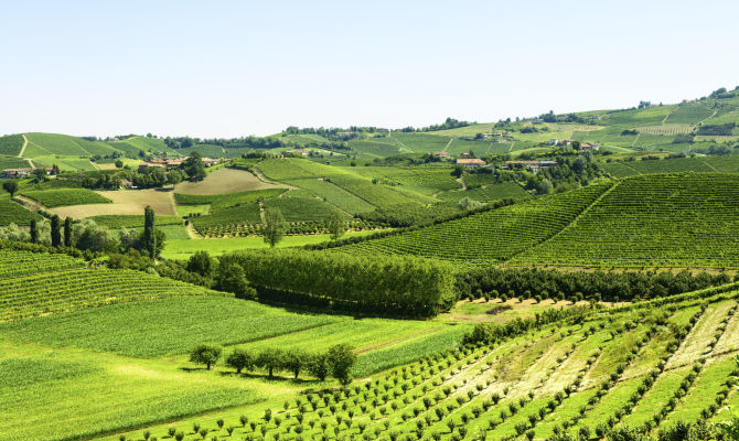 Le colline delle Langhe