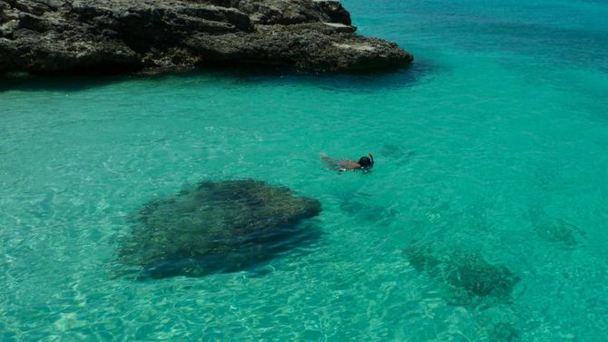 Mare di Aruba