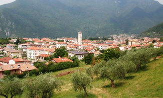 Veneto, l'olio del Monte Grappa