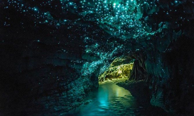 Glow Worm Cave, Nuova Zelanda