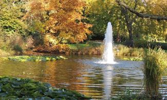 orto botanico città studi