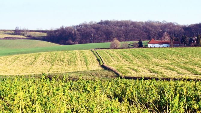 Valkenburg colline