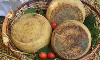 Formaggio Canestrato di Moliterno