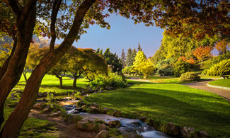 Scorcio del Giardino roccioso
