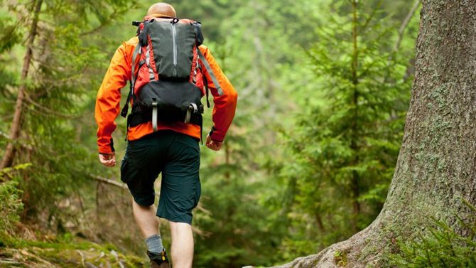 trekking nel bosco