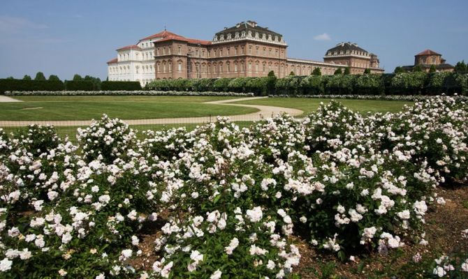 Fiori, Venaria Reale